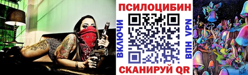 Купить закладки  Велиж  Псилоцибиновые грибы прущие грибы 